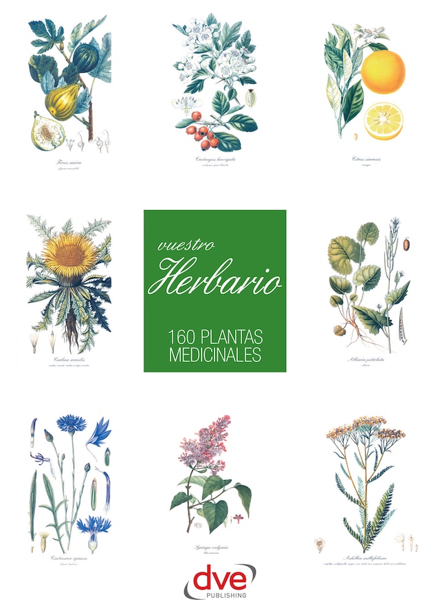 Book cover for Vuestro herbario. 160 plantas medicinales