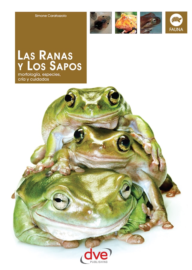 Book cover for Las Ranas y los Sapos