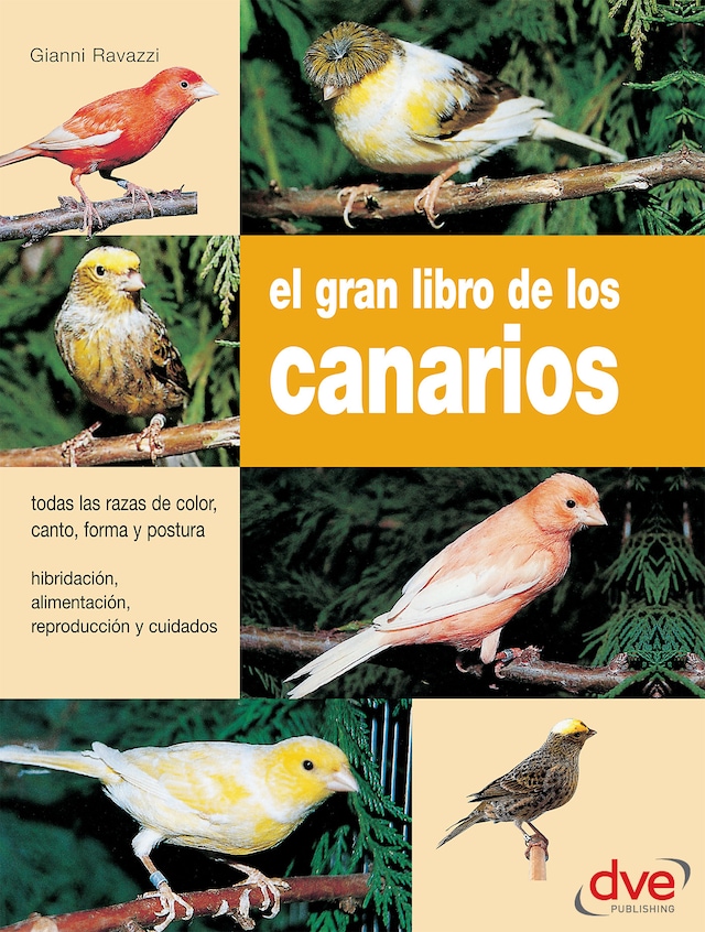 Book cover for El gran libro de los canarios