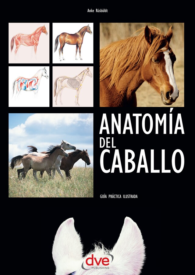 Okładka książki dla Anatomía del caballo: Guía práctica ilustrada