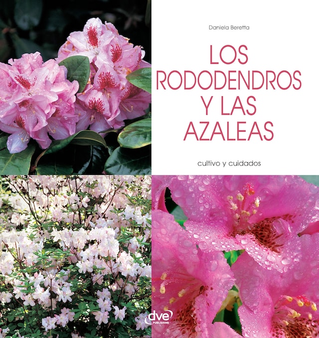 Bokomslag for Los rododendros y las azaleas - Cultivo y cuidados