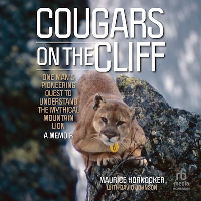 Cougars on the Cliff