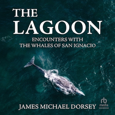 The Lagoon