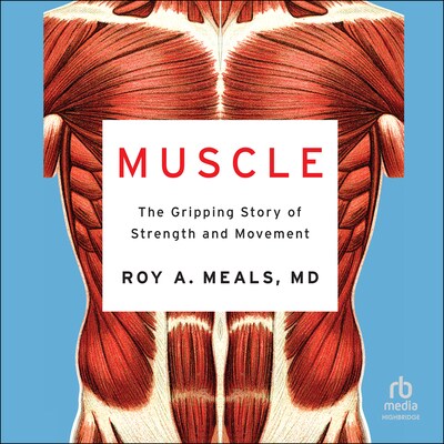 Muscle