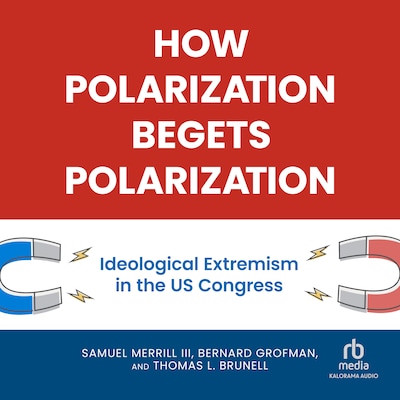 How Polarization Begets Polarization