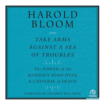 Take Arms Against a Sea of Troubles