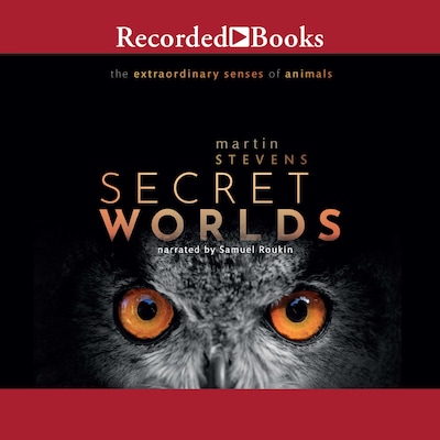 Secret Worlds