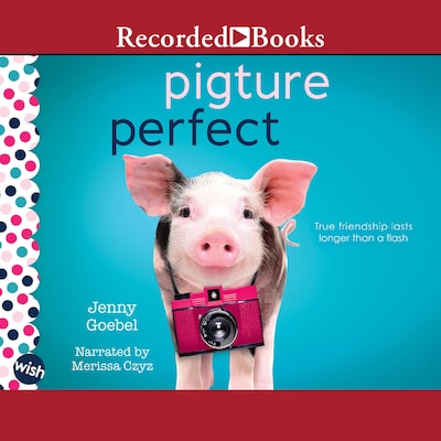 Pigture Perfect