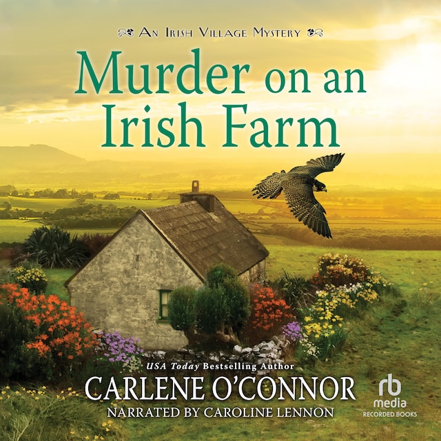 Bogomslag for Murder on an Irish Farm