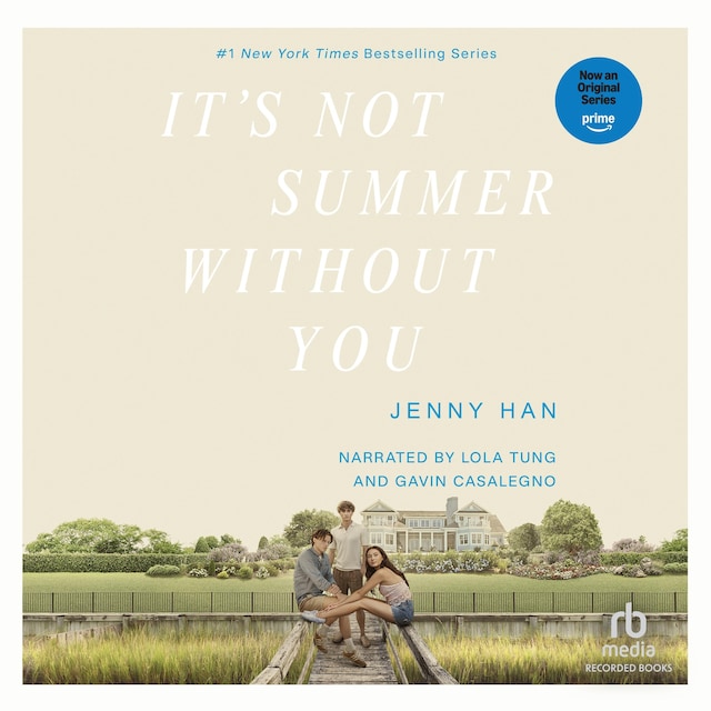 Book cover for It's Not Summer Without You