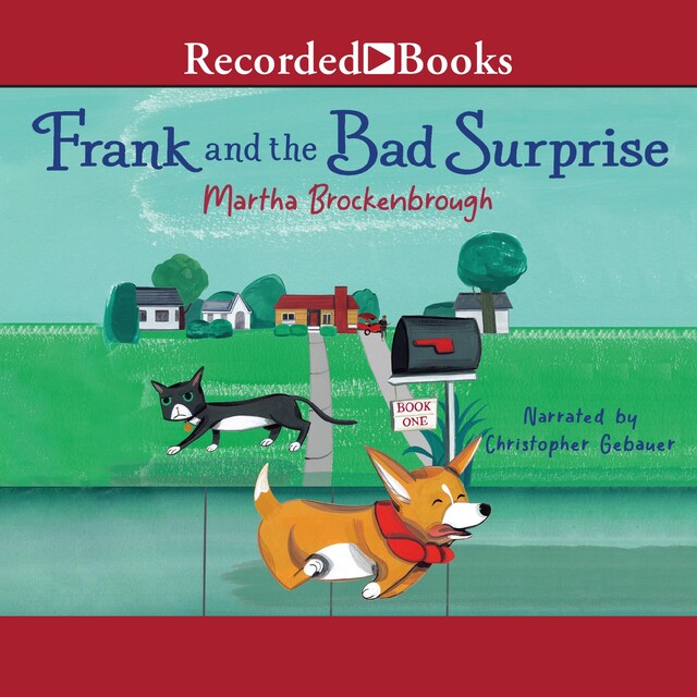 Book cover for Frank and the Bad Surprise