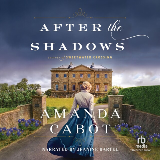 Book cover for After the Shadows