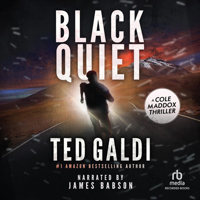 Book cover for Black Quiet