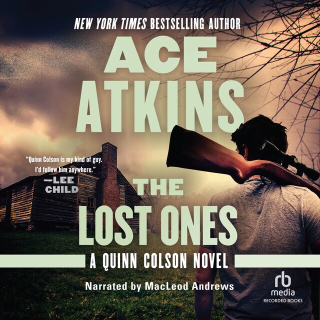 Book cover for The Lost Ones