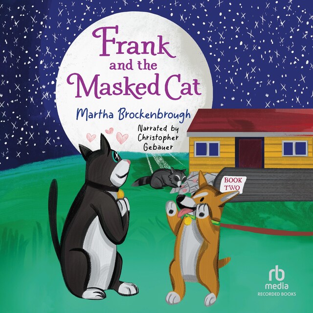 Book cover for Frank and the Masked Cat