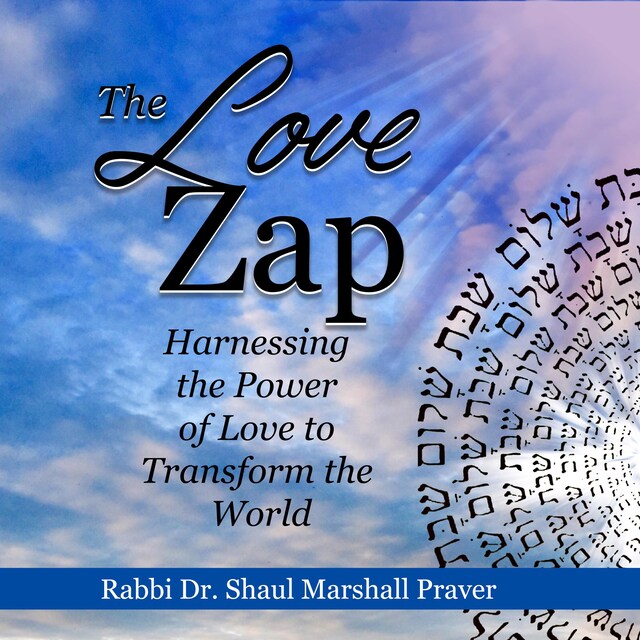 Copertina del libro per The Love Zap