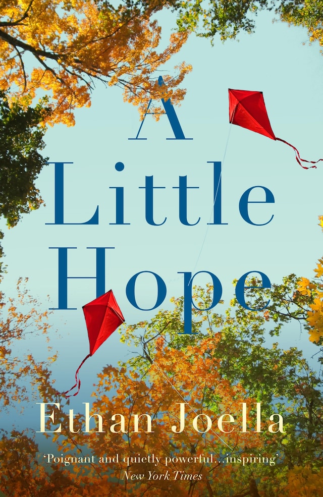 Book cover for A Little Hope