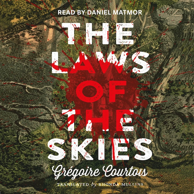 Book cover for The Laws of the Skies