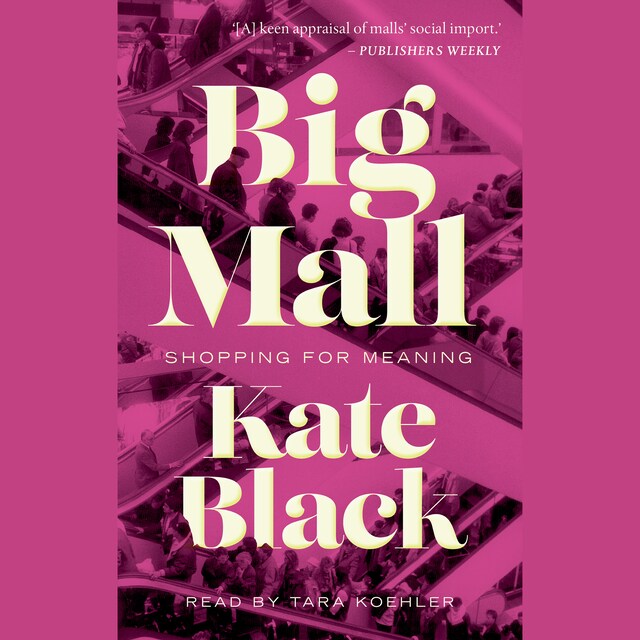 Book cover for Big Mall