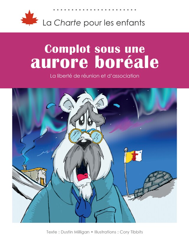 Kirjankansi teokselle Complot sous une aurore boréale