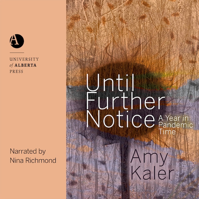 Book cover for Until Further Notice