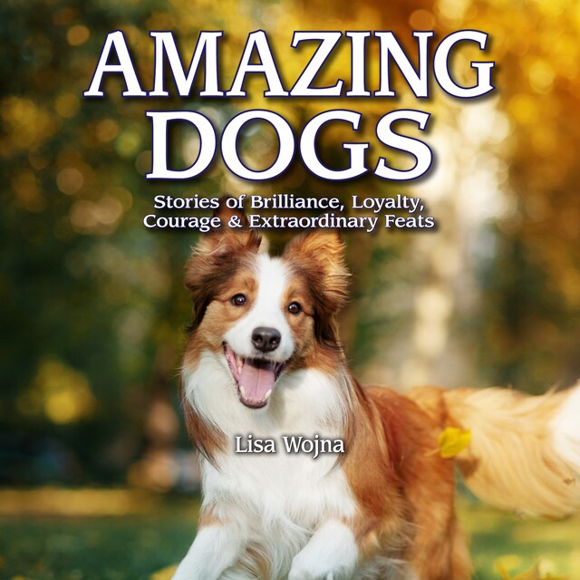 Book cover for Amazing Dogs