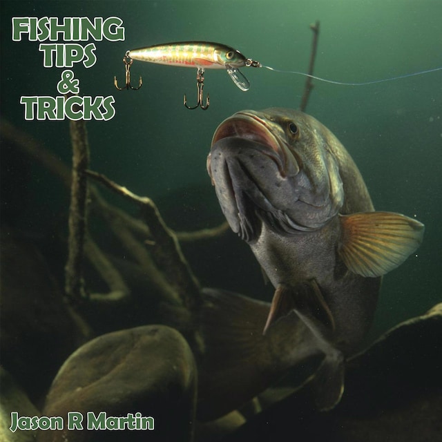 Boekomslag van Fishing Tips & Tricks