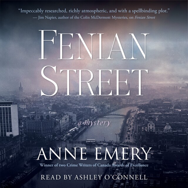 Book cover for Fenian Street