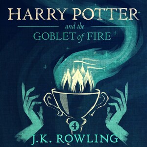 Harry Potter and the Goblet of Fire bookCoverFor