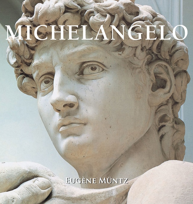 Okładka książki dla Michelangelo
