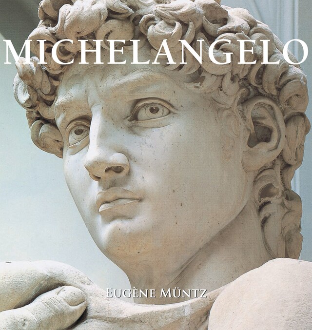 Okładka książki dla Michelangelo
