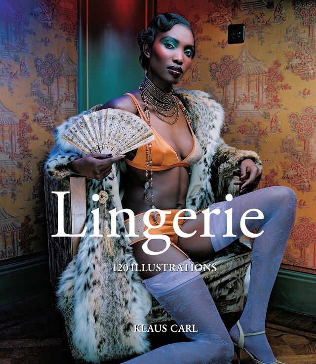 Book cover for Lingerie