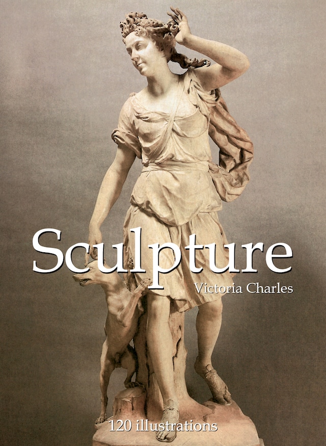 Buchcover für Sculpture 120 illustrations