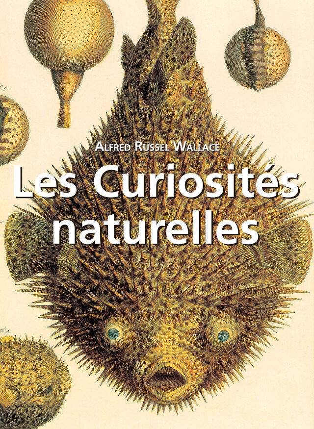 Book cover for Les Curiosités naturelles