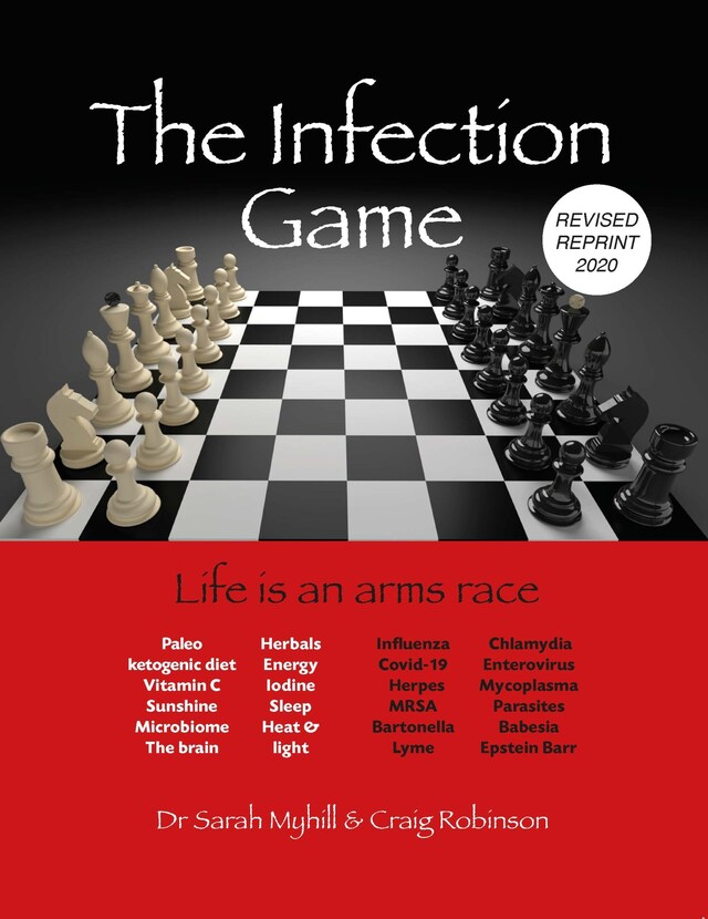 Book cover for The Infection Game