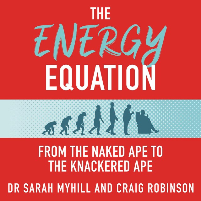 Book cover for The Energy Equation