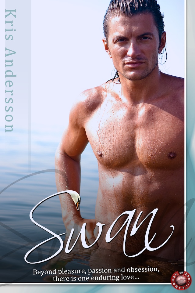 Swan Buchcover für Swan