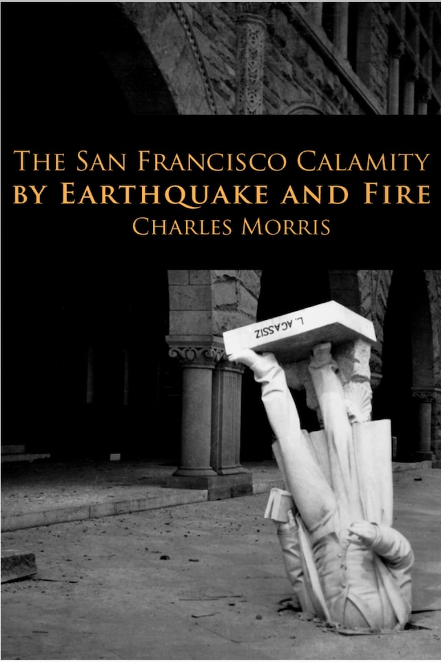 Book cover for The San Francisco Calamity