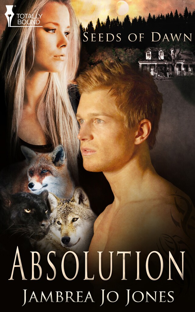 Copertina del libro per Absolution