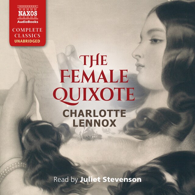 Book cover for The Female Quixote