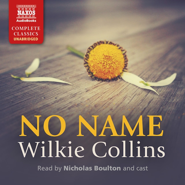 Book cover for No Name