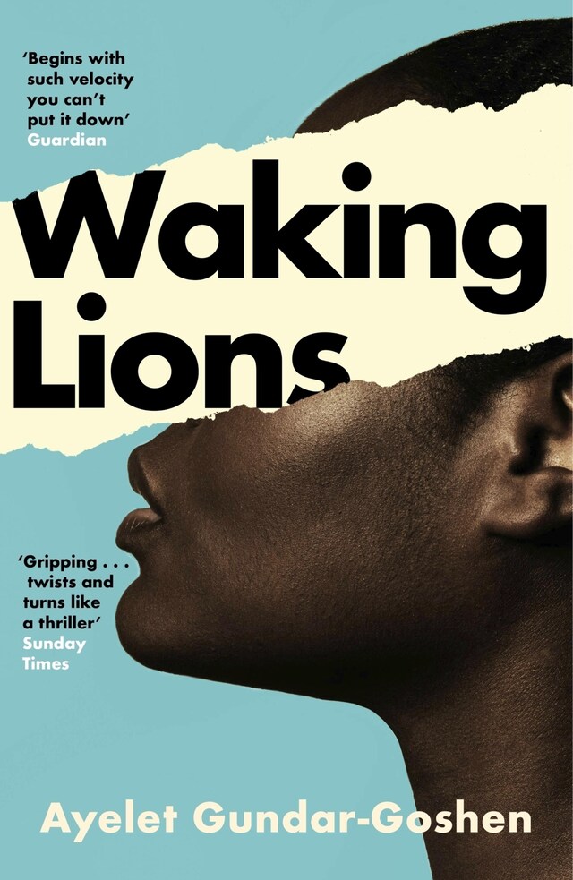 Okładka książki dla Waking Lions