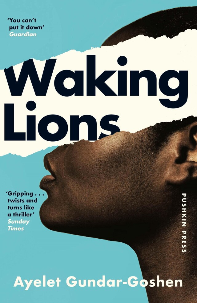 Buchcover für Waking Lions