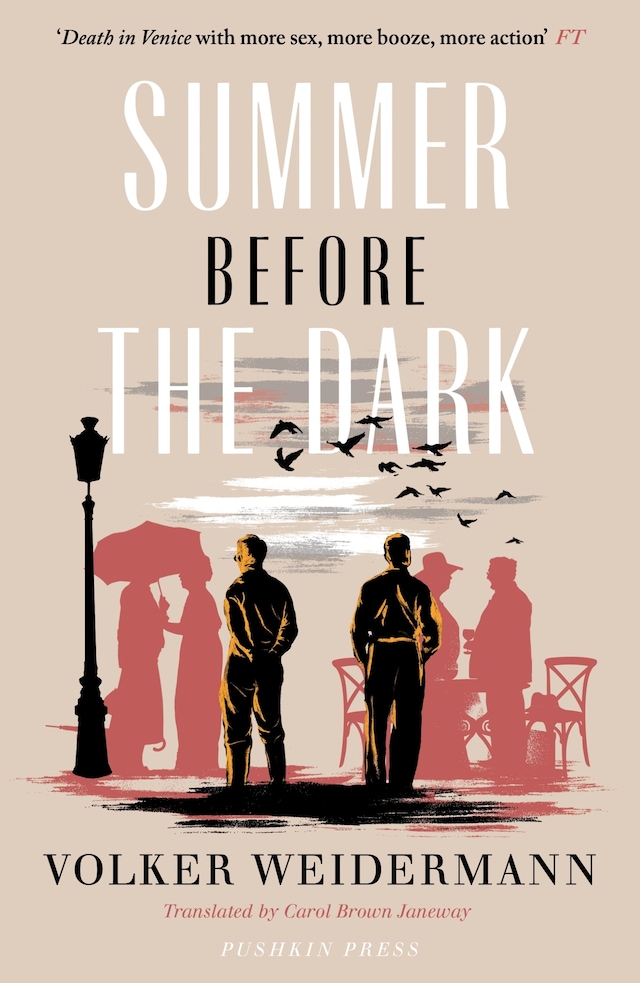 Book cover for Summer Before the Dark