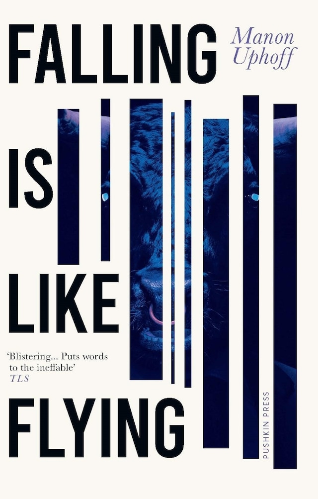 Book cover for Falling is Like Flying