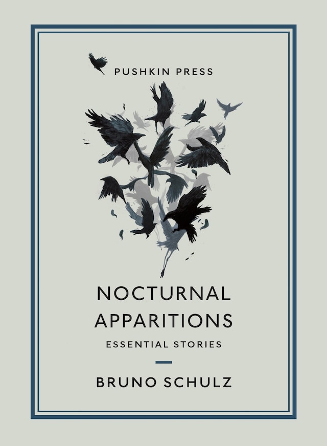 Boekomslag van Nocturnal Apparitions