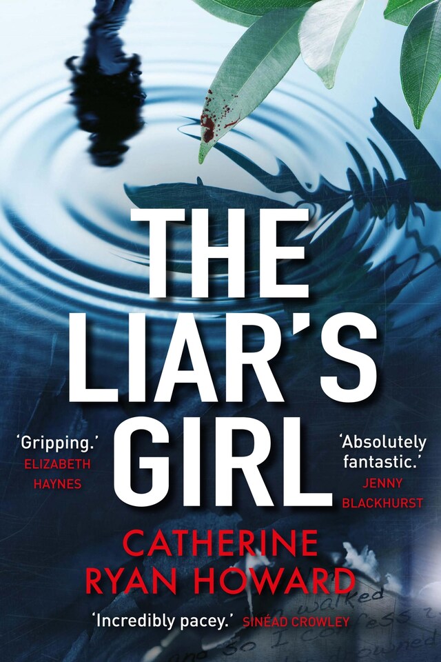 Book cover for The Liar's Girl