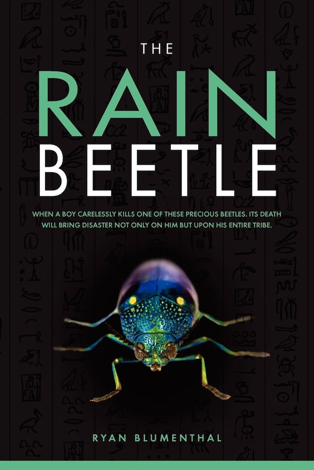 Book cover for The Rain Beetle