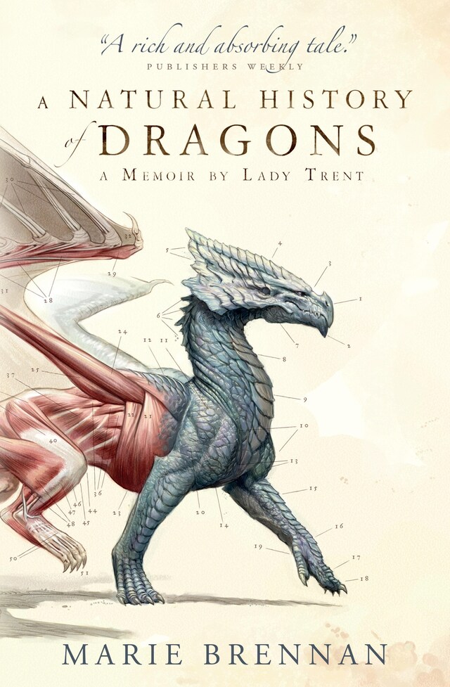 Book cover for A Natural History of Dragons