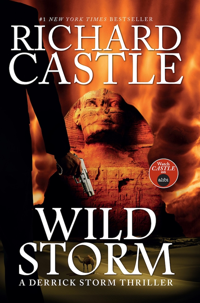 Buchcover für Wild Storm